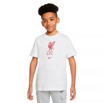 Nike Camisola Liverpool FC Fanswear 2022-2023 Jr Branco 140 cm - DM3488-100-140 cm