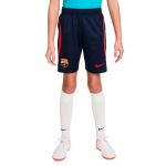 Nike Calções FC Barcelona Training 22/23 Jr Obsidian-University Red 152 cm - DJ8724-451-152 cm