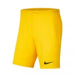 Nike Calções Park III Knit Jr Tour yellow-Black 164 cm - BV6865-719-164 cm