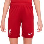 Nike Calções Liverpool FC Primeiro Equipamento Stadium 22/23 Jr Tough Red-Red 140 cm - DM2225-608-140 cm