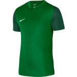 Nike T-shirt M Nk Trophy V Jsy Ss dr0933-302 L Verde
