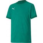 Puma T-shirt Teamfinal 21 Jersey Jr 704367-005 164 Verde