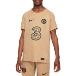 Nike Camisa Cfc Y Nk Stad Jsy Ss 3RD 2022/23 dn2736-253 L (147-158 cm) Castanho