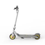 Trotinete Eléctrica Ninebot by Segway KickScooter ZING C8 - AA.00.0011.61