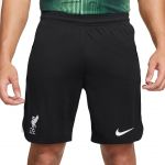 Nike Calções Liverpool FC Segundo Equipamento 23/24 Black XL - DX2712-010-XL