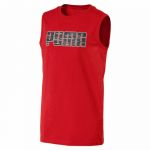 Puma T-Shirt Infantil Hero Sl Tee Vermelho 7393-13824, 3-4 Anos