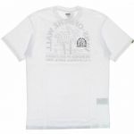 Vans T-Shirt Unissexo Palm-b Branco 6944-12244, Xl