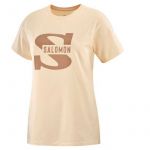 Salomon T-Shirt Homem Big Logo Nude Bege Castanho 6617-11099, S