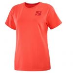 Salomon T-Shirt Homem Outlife Small Logo Laranja 6610-11076, M