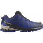 Salomon Trail Running Xa Pro 3D V9 Gtx l47270300 43,3 Azul