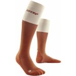 Cep Meias de Joelho Knee Socks Bloom wp20pj Iii Laranja