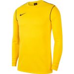 Nike Sweatshirt M Nk Dry PARK20 Crew Top bv6875-719 L Amarelo