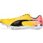 Puma Sapatilhas de Pista Evospeed Electric 13 37700001 43 Amarelo