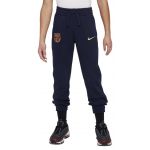 Nike Calças Fcb B Nsw Club Ft Jogger Pant fj5606-451 XL (158-170 cm) Azul