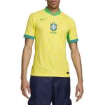 Nike Camisa Cbf M Nk Dfadv Match Jsy Ss Hm 2024 fj4270-706 M Amarelo