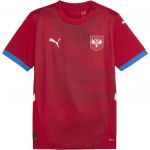 Puma Camisa Fss Home Jersey Replica 2024 774300-01 XL Vermelho