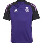 Adidas Camisa Dfb Tr Jsy Y 2024 ip8244 XS (123-128 cm) Violeta