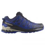 Salomon Xa Pro 3d V9 Goretex Trail Running Shoes Azul 40 2/3 Homem