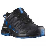 Salomon Xa Pro 3d V8 Goretex Trail Running Shoes Preto 40 Homem
