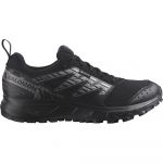 Salomon Wander Goretex Trail Running Shoes Preto 43 1/3 Mulher