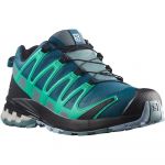Salomon Xa Pro 3d V8 Goretex Trail Running Shoes Azul 36 2/3 Mulher