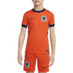 Nike Camisa Knvb Ynk Stad Jsyss Hm Lion 2024 fj4372-819 S (128-137 cm) Laranja
