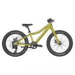 Scott Bikes Roxter 20´´ Mtb Bike Verde Rapaz