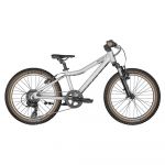 Scott Bikes Scale 20´´ Mtb Bike Prateado Rapaz