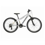 Kross Dust 1.0 24´´ Tourney Tx800 2024 Mtb Bike Cinzento S Rapaz