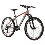 Kross Level 2.0 24´´ Tourney Mtb Bike Cinzento Rapaz