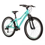 Kross Lea 1.0 24´´ Mtb Bike Verde Rapaz
