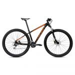 Coluer Pragma 294 29´´ Altus 2023 Mtb Bike Preto L