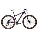 Coluer Ascent 295 29´´ Altus 2023 Mtb Bike Roxo L