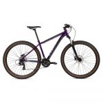 Coluer Ascent 293 29´´ Altus 2023 Mtb Bike Roxo L