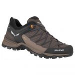 Salewa Mtn Trainer Lite Goretex Hiking Shoes Castanho,Preto 40 Homem
