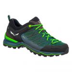 Salewa Mtn Trainer Lite Goretex Hiking Shoes Verde 40 Homem
