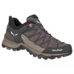 Salewa Mtn Trainer Lite Goretex Hiking Shoes Castanho,Branco,Preto 36 1/2 Mulher