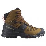 Salomon Quest 4 Goretex Hiking Boots Beige,Castanho 48 Homem