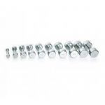 Gymstick Pro Chrome Unit Dumbbell Prateado 5 kg