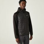Regatta Andreson Viii Jacket Preto L Homem