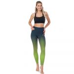 Alpine Pro Arela Leggings Verde XL Mulher