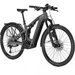 Focus Thron² 6.9 Eqp 29´´ Shimano Deore M6100 2023 Mtb Electric Bike Prateado S / 750 Wh