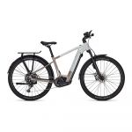 Focus Planet² 6.8 Abs 29´´ Cues 2024 Electric Bike Cinzento S / 625Wh