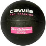 Cawila Bola Medicinal Medicinball Pro Training 5,0 Kg 1000614320-schwarz os Preto
