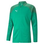 Puma Casaco Teamcup Training 657983-005 S Verde