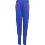 Adidas Calças TIRO24 C Trpnty je1967 L (159-164 cm) Azul