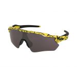 Oakley Óculos de Sol Radar Ev Path OO9208 9208E8