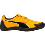 Puma Sapatilhas de Pista Evospeed Throw 10.5 311874-01 43 Amarelo