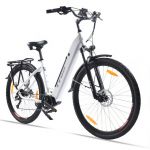 Ttgo Elétrica ZZ-28ST - Motor 250W 36V20AH Bateria Pneus de 28 Polegadas Velocidade Máxima 25km / H Travões de Disco - Branco