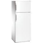 Frigorífico 2 Portas Com Congelador Starlux SXF245 227L Classe E